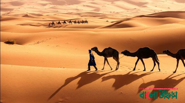Wonders of the Sahara